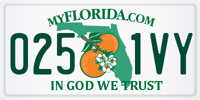 FL license plate 0251VY