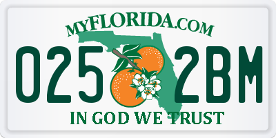 FL license plate 0252BM
