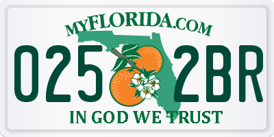 FL license plate 0252BR