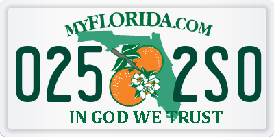 FL license plate 0252SO