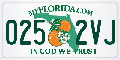 FL license plate 0252VJ