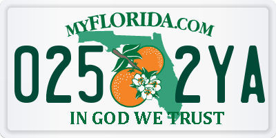 FL license plate 0252YA
