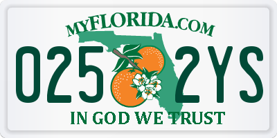 FL license plate 0252YS