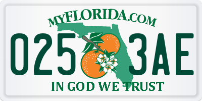FL license plate 0253AE