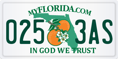 FL license plate 0253AS