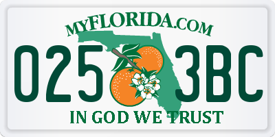 FL license plate 0253BC