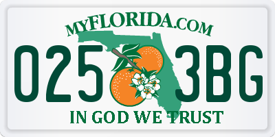FL license plate 0253BG