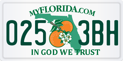 FL license plate 0253BH