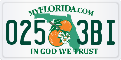 FL license plate 0253BI