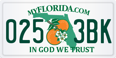 FL license plate 0253BK