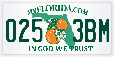 FL license plate 0253BM