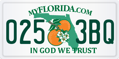 FL license plate 0253BQ
