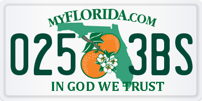 FL license plate 0253BS