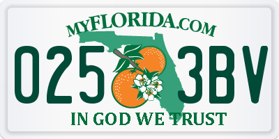 FL license plate 0253BV