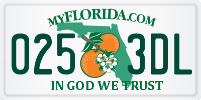 FL license plate 0253DL
