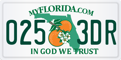 FL license plate 0253DR