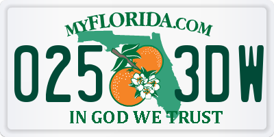 FL license plate 0253DW