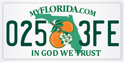 FL license plate 0253FE