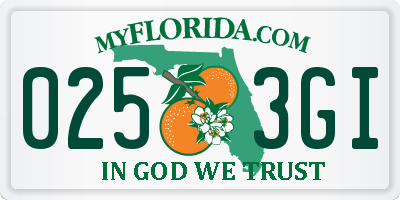 FL license plate 0253GI