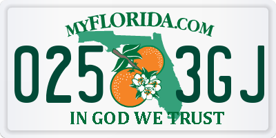 FL license plate 0253GJ