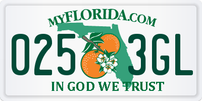 FL license plate 0253GL