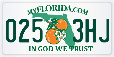 FL license plate 0253HJ