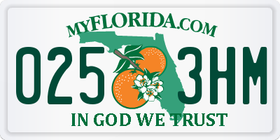 FL license plate 0253HM