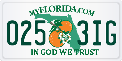 FL license plate 0253IG