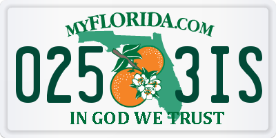 FL license plate 0253IS