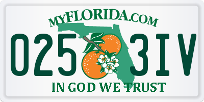 FL license plate 0253IV