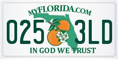 FL license plate 0253LD