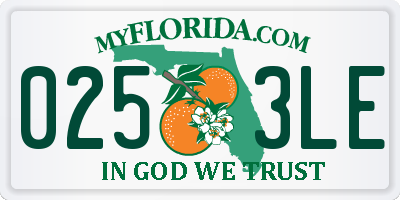 FL license plate 0253LE