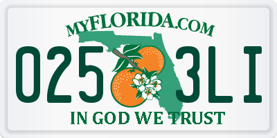 FL license plate 0253LI