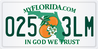 FL license plate 0253LM