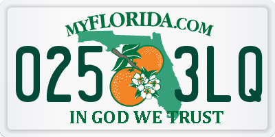 FL license plate 0253LQ