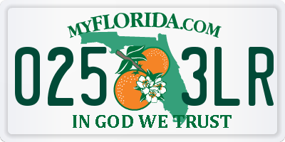 FL license plate 0253LR