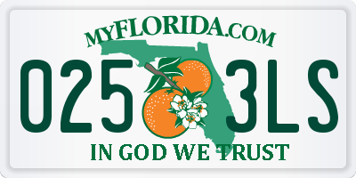 FL license plate 0253LS
