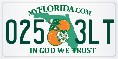 FL license plate 0253LT