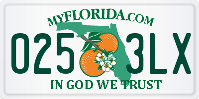 FL license plate 0253LX