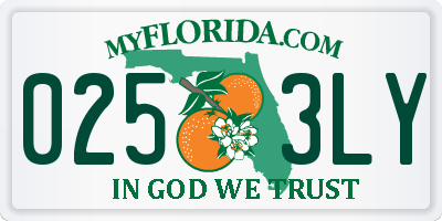 FL license plate 0253LY