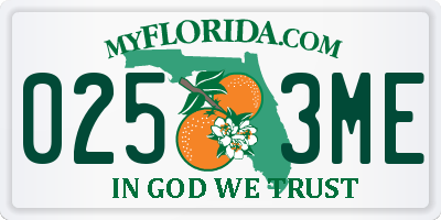 FL license plate 0253ME