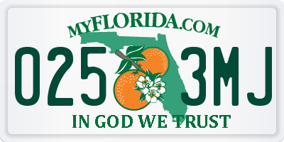 FL license plate 0253MJ