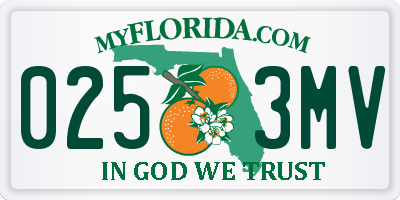 FL license plate 0253MV