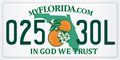 FL license plate 0253OL