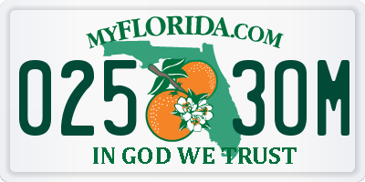 FL license plate 0253OM