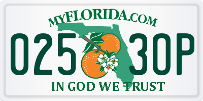FL license plate 0253OP