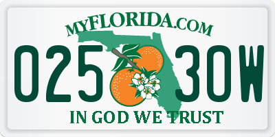 FL license plate 0253OW