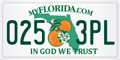 FL license plate 0253PL