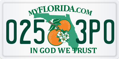 FL license plate 0253PO