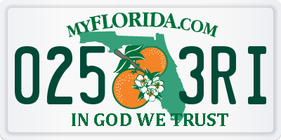 FL license plate 0253RI